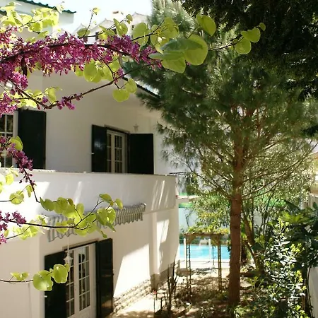 Casa Das Avencas * Каркавелуш